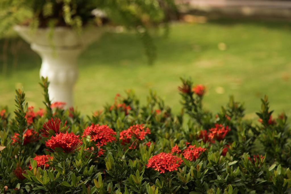 Hotel Jardim ฟอร์ตาเลซา ภายนอก รูปภาพ