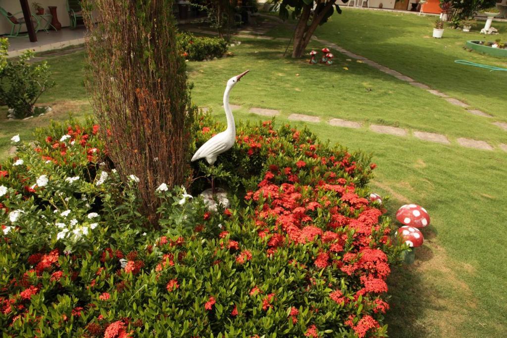 Hotel Jardim ฟอร์ตาเลซา ภายนอก รูปภาพ