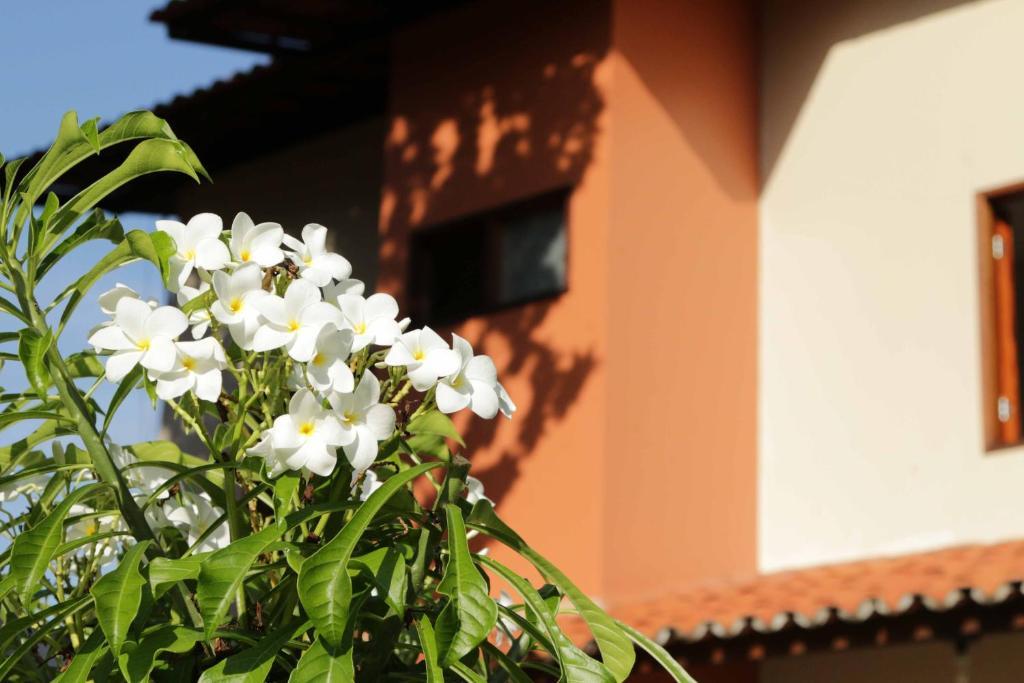 Hotel Jardim ฟอร์ตาเลซา ภายนอก รูปภาพ